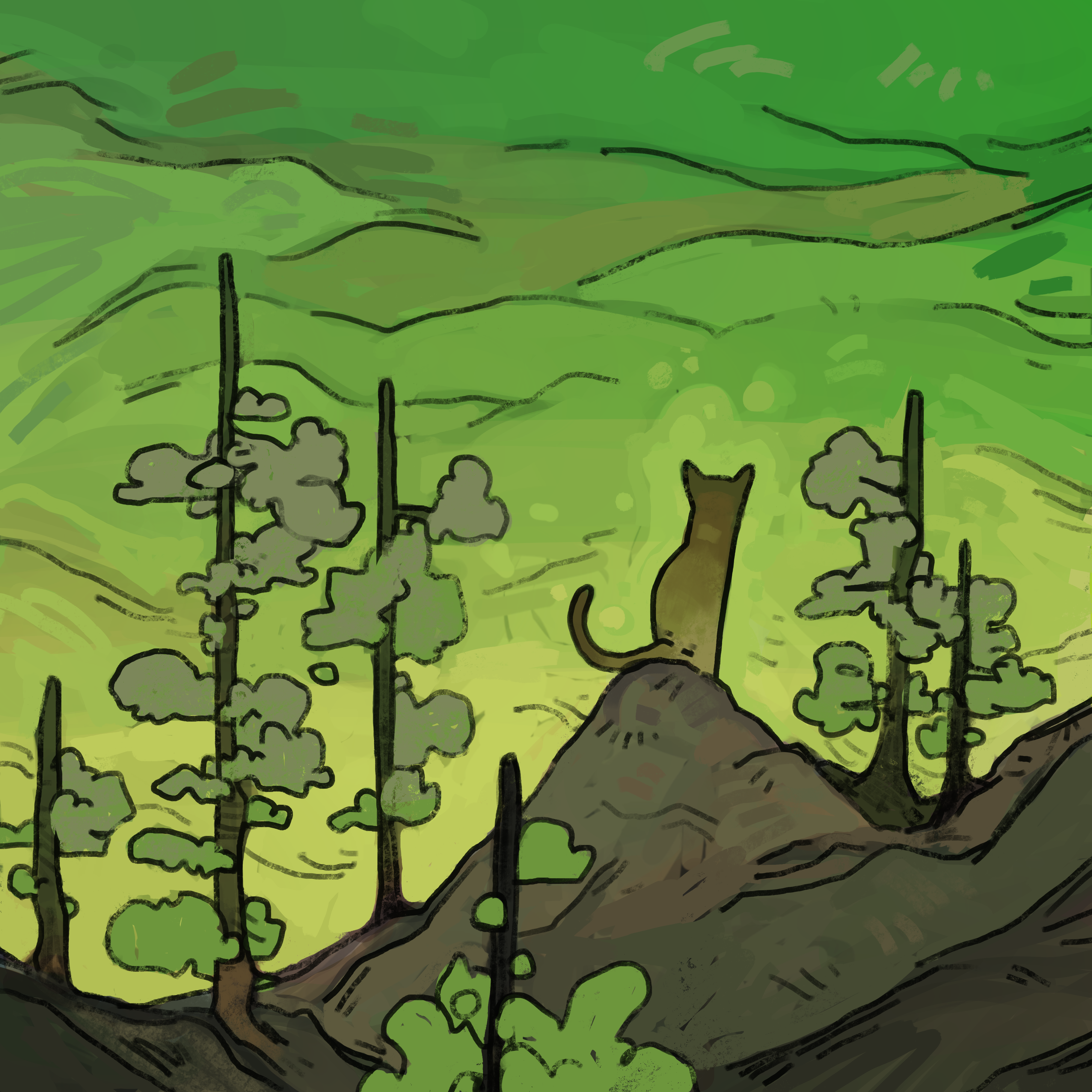 IMG_1562.PNG