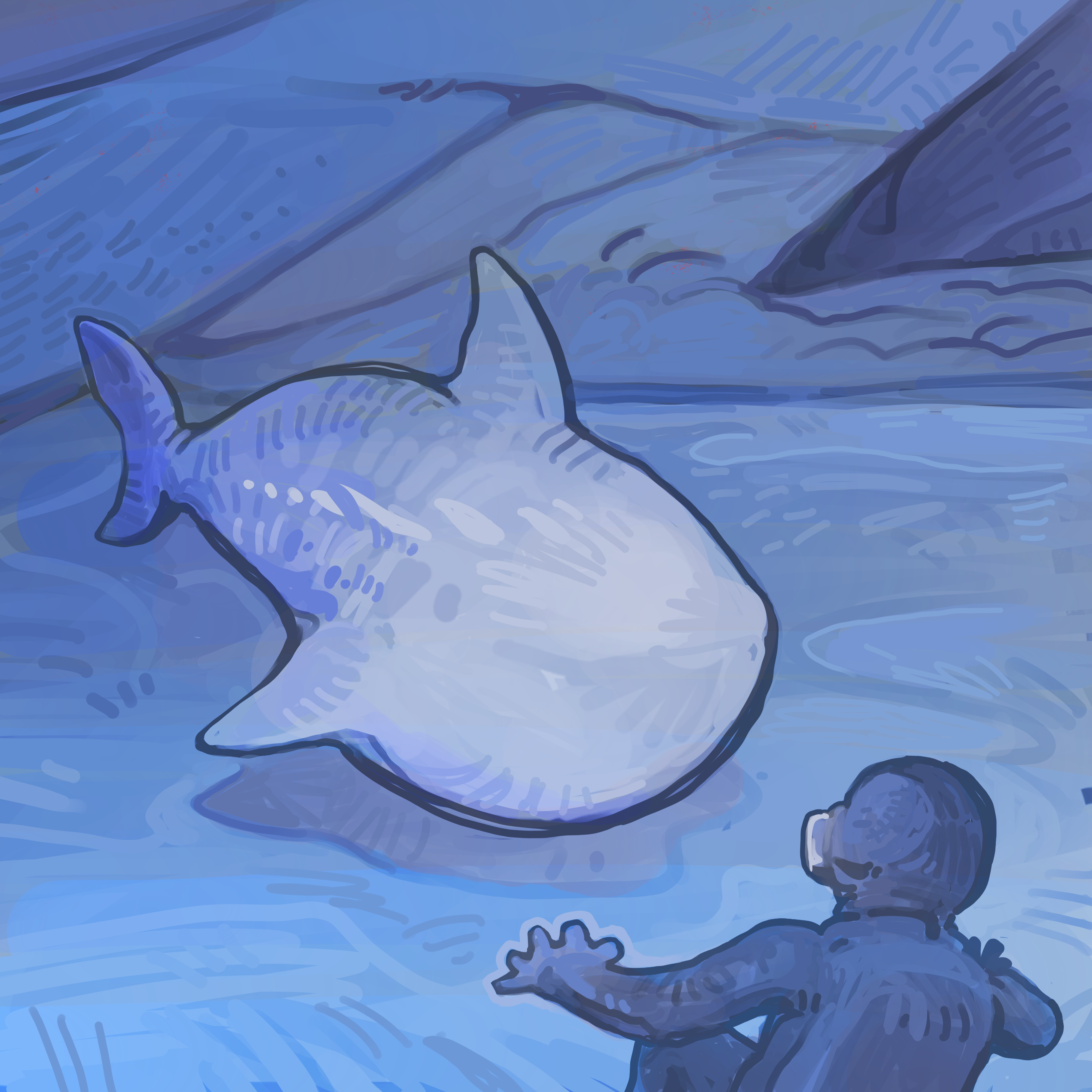IMG_1567.PNG