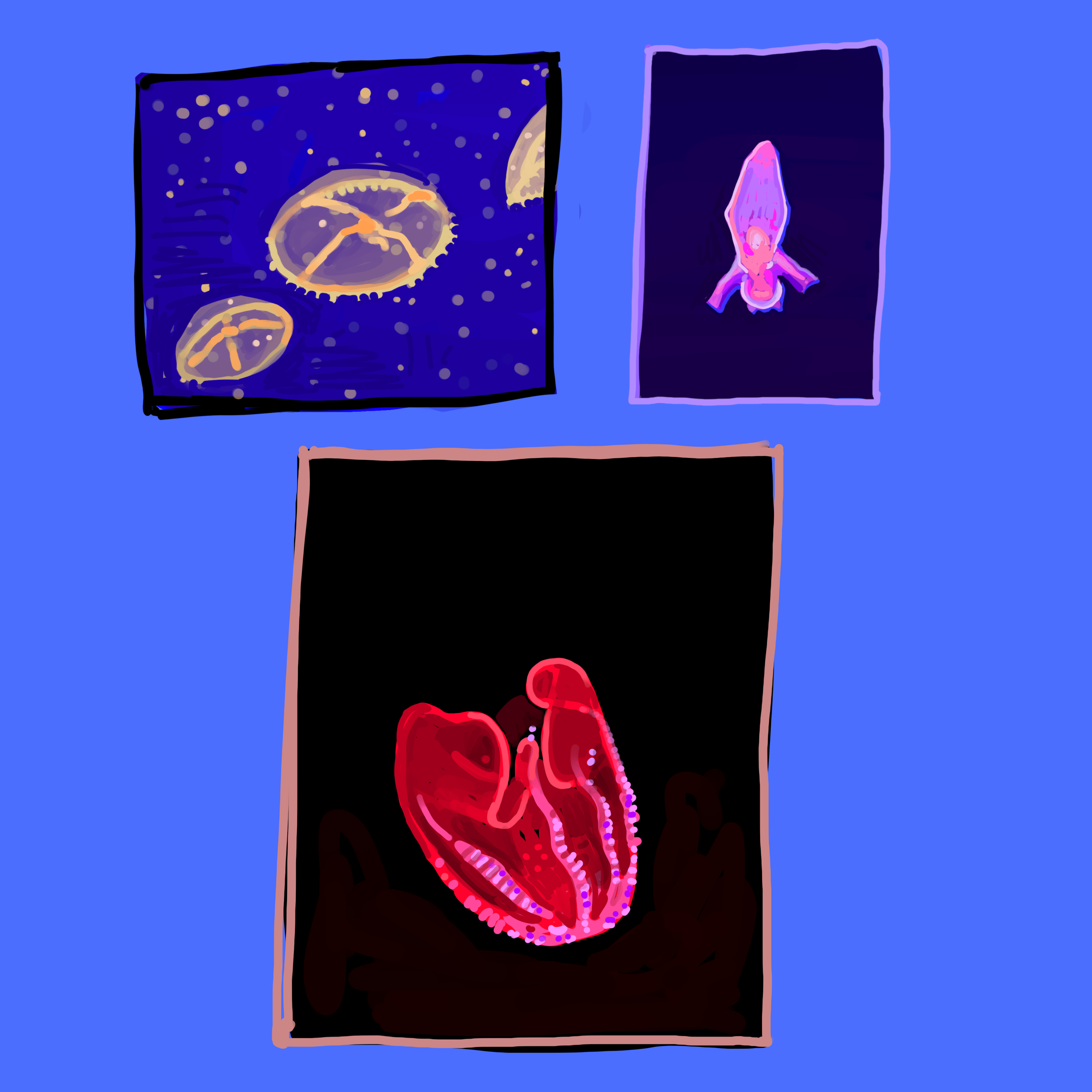 biolum3.PNG