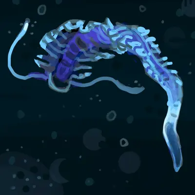 biolum1.PNG