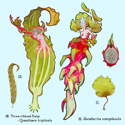mermay7.PNG